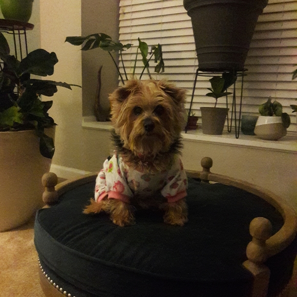 Meet your Posher, Mel - Picture 2 of 8